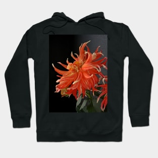 Giant Red Dahlia Hoodie